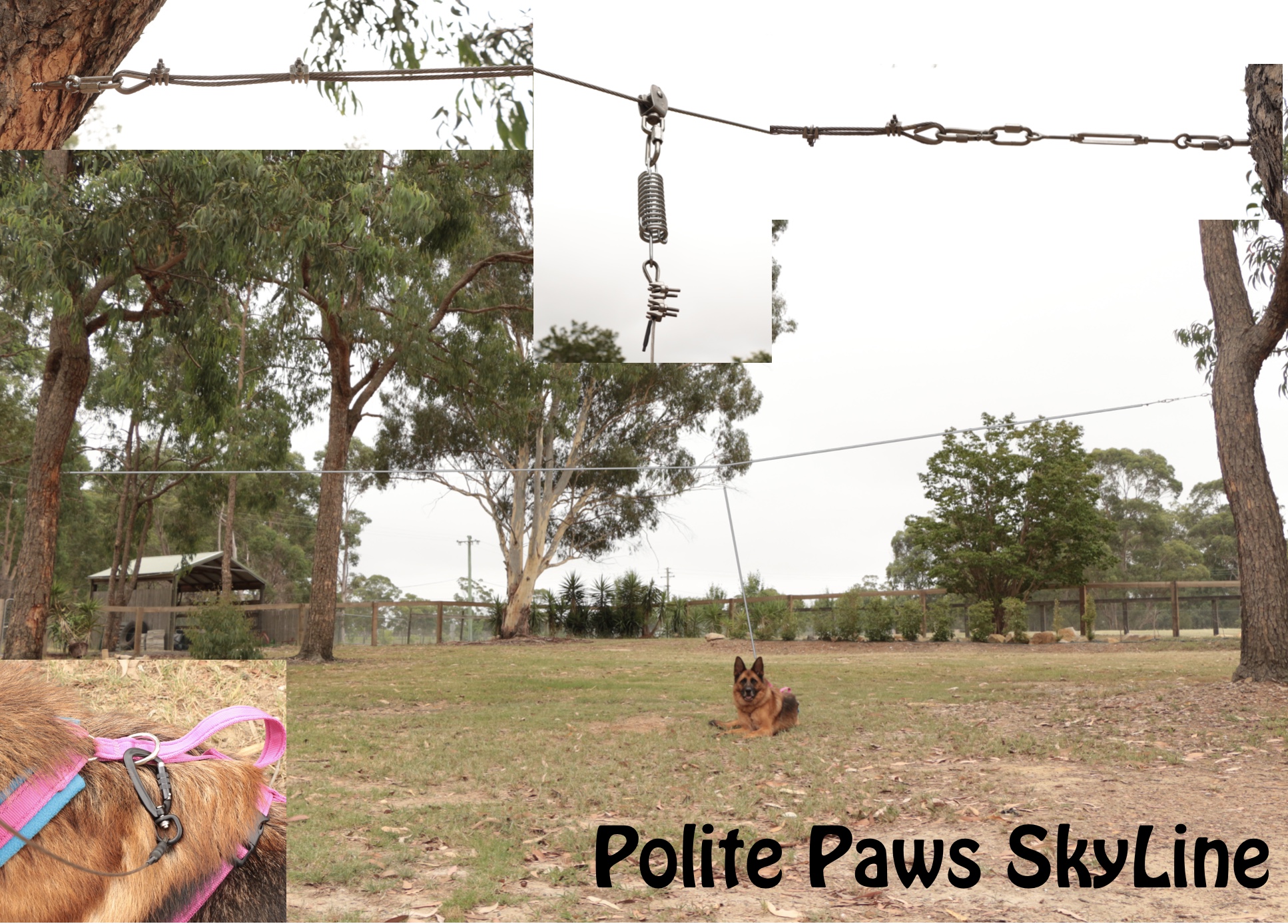 Polite Paws SkyLine Aerial Dog Run (30.1-40meters)